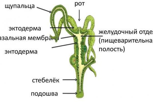 Вход на мегу через тор