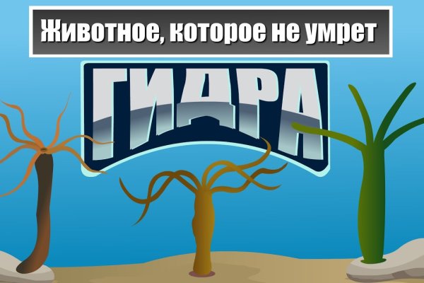 Мега зеркало сайта работающее новое